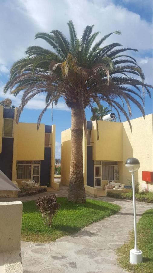 Duplex El Cortijo, Lasamericas Playa de las Americas  Exterior foto